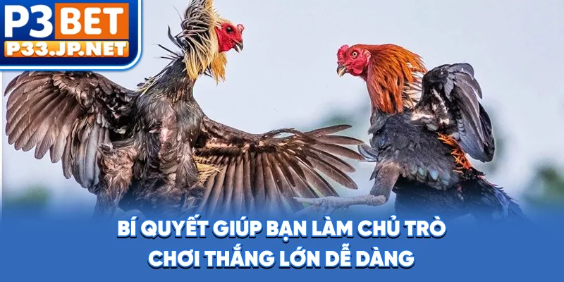 Bí quyết giúp bạn làm chủ trò chơi, thắng lớn dễ dàng