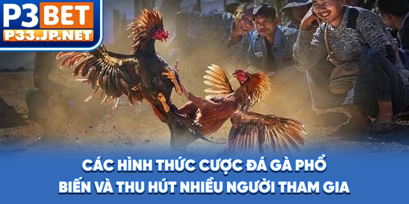 Các hình thức cược đá gà phổ biến và thu hút nhiều người tham gia