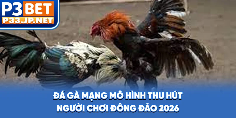 Đá Gà Mạng - Mô Hình Thu Hút Người Chơi Đông Đảo 2026