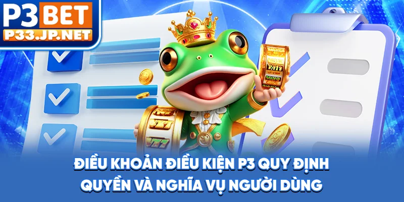 Điều khoản điều kiện P3 quy định quyền và nghĩa vụ người dùng