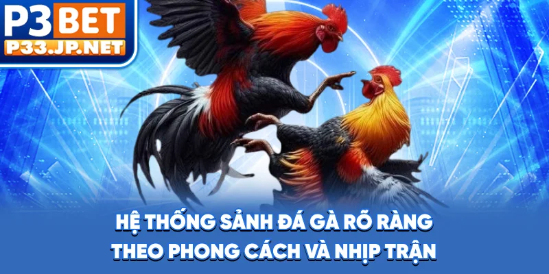 Hệ thống sảnh đá gà rõ ràng theo phong cách và nhịp trận