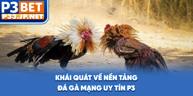Khái quát về nền tảng đá gà mạng uy tín P3